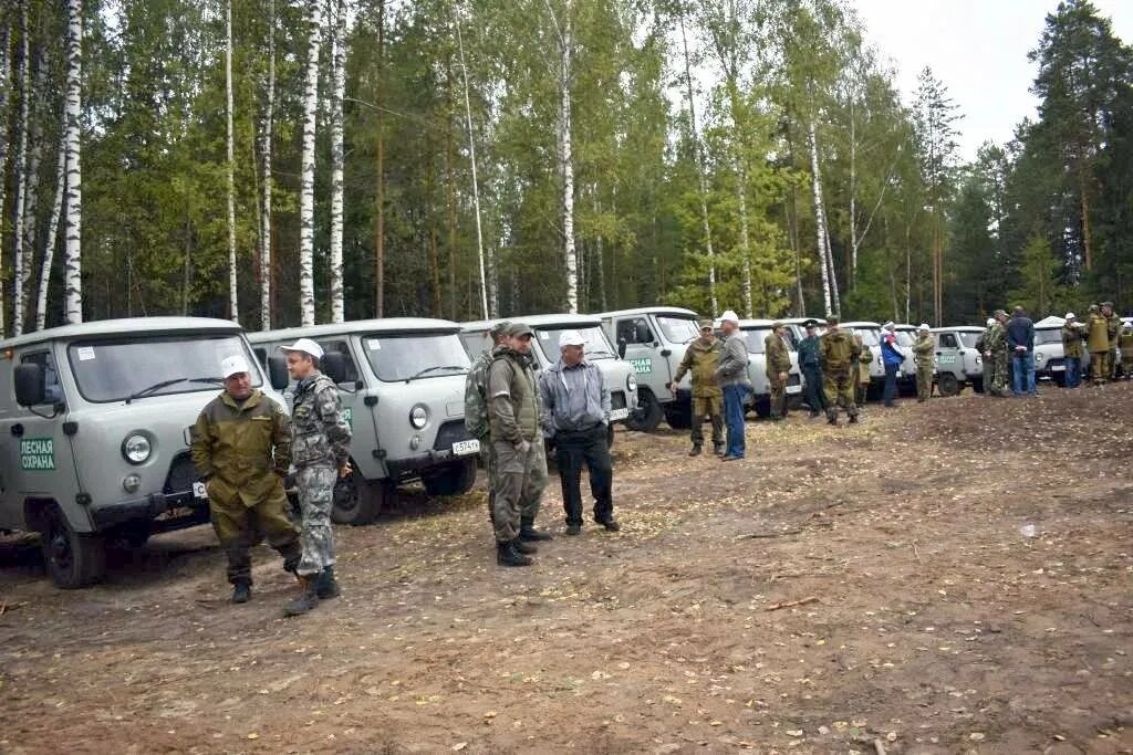 П лесной рязанской области шиловский район. Лесная школа Воронеж Шиловский лес. Лесной Шиловский район Рязанская область. ЕРАХТУРСКИЙ лесхоз Шиловский район Рязанской области. Шиловское лесничество Рязанской области.