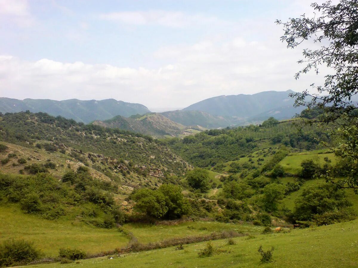 Село КУЛИФ Табасаранский район. Табасаран село КУЛИФ. Табасаранский район селение КУЛИФ. Магомедханов село КУЛИФ.