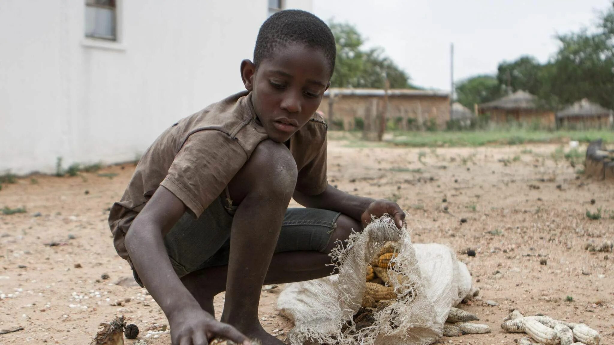Голодные дети Зимбабве. Природа голода