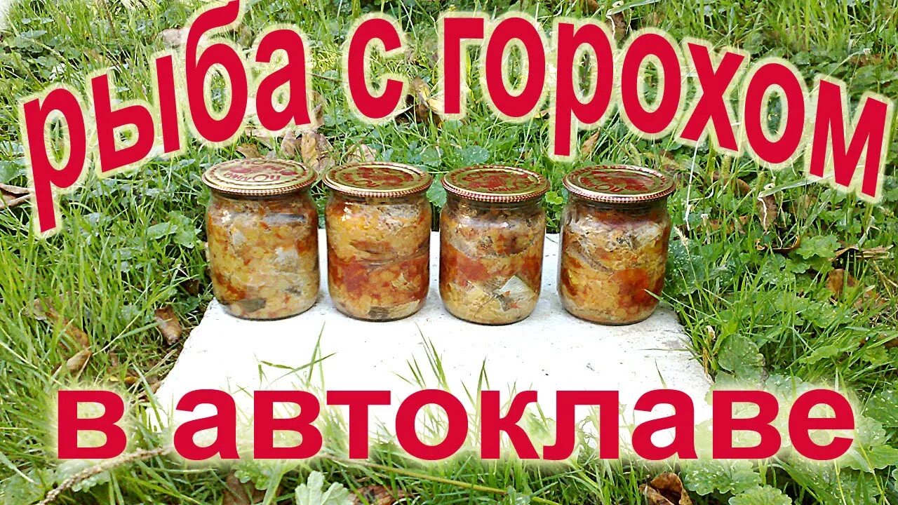 Тушенка с горохом в автоклаве. Горох с мясом в автоклаве. Гороховая каша с мясом в автоклаве. Горох в автоклаве