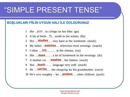 Present simple movies