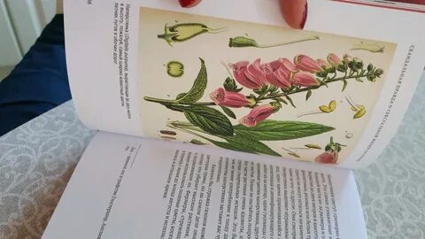 Книга тайная жизнь растений