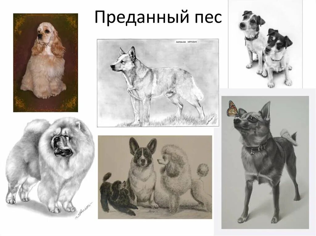Характеры животных 2 класс изо. Изо собака верный друг 3 класс. верный пес рисунок. урок изо собака верный друг 3 класс. собака верный друг презентация по изо 3 класс.