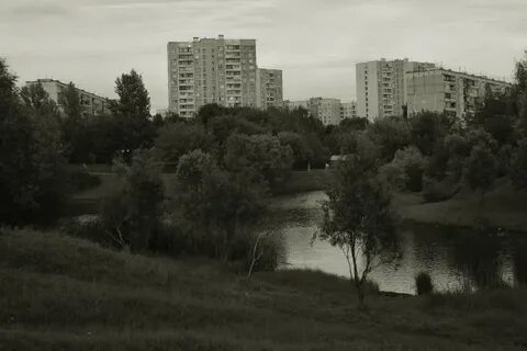 Бибирево плещеева