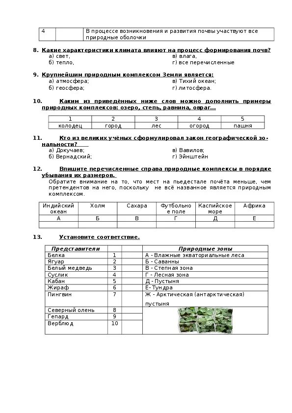 Практическая работа 1 по географии 6 класс. Биосфера контрольная работа 6 кл. Проверочная работа по географии 6 класс Биосфера. Биосфера 6 класс практические задания. Самостоятельная работа по географии 6 класс Биосфера с ответами.