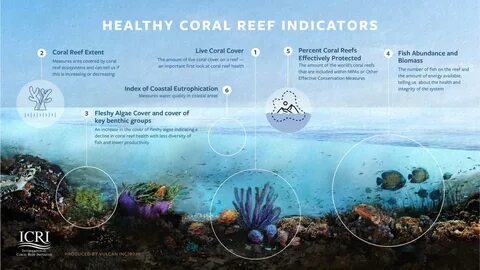 ICRS and the Convention on Biological Diversity - International Coral.