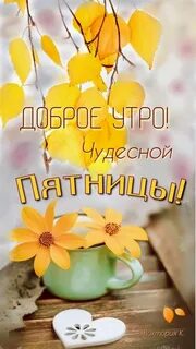 Утро пятницы осень