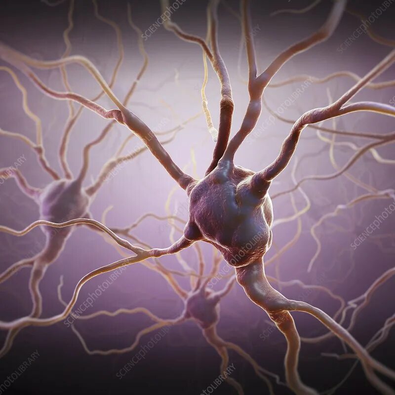 Neural stick