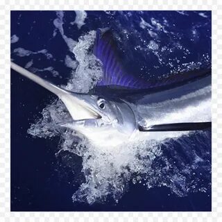 Marlin марлин