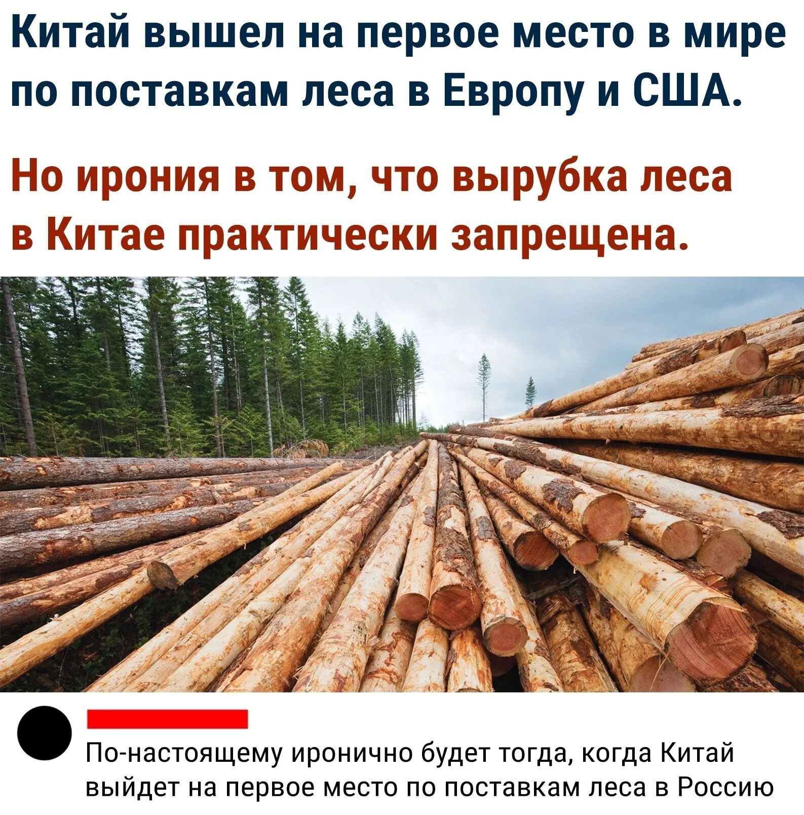 Вырубка леса в китае. Слово со значением место где вырублен лес. Слово со значением место где вырублен лес. Рубка деревьев. Лес до и после вырубки.