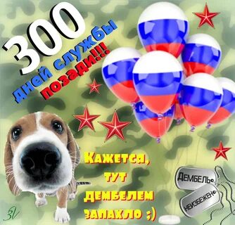Осталось месяц до дембеля