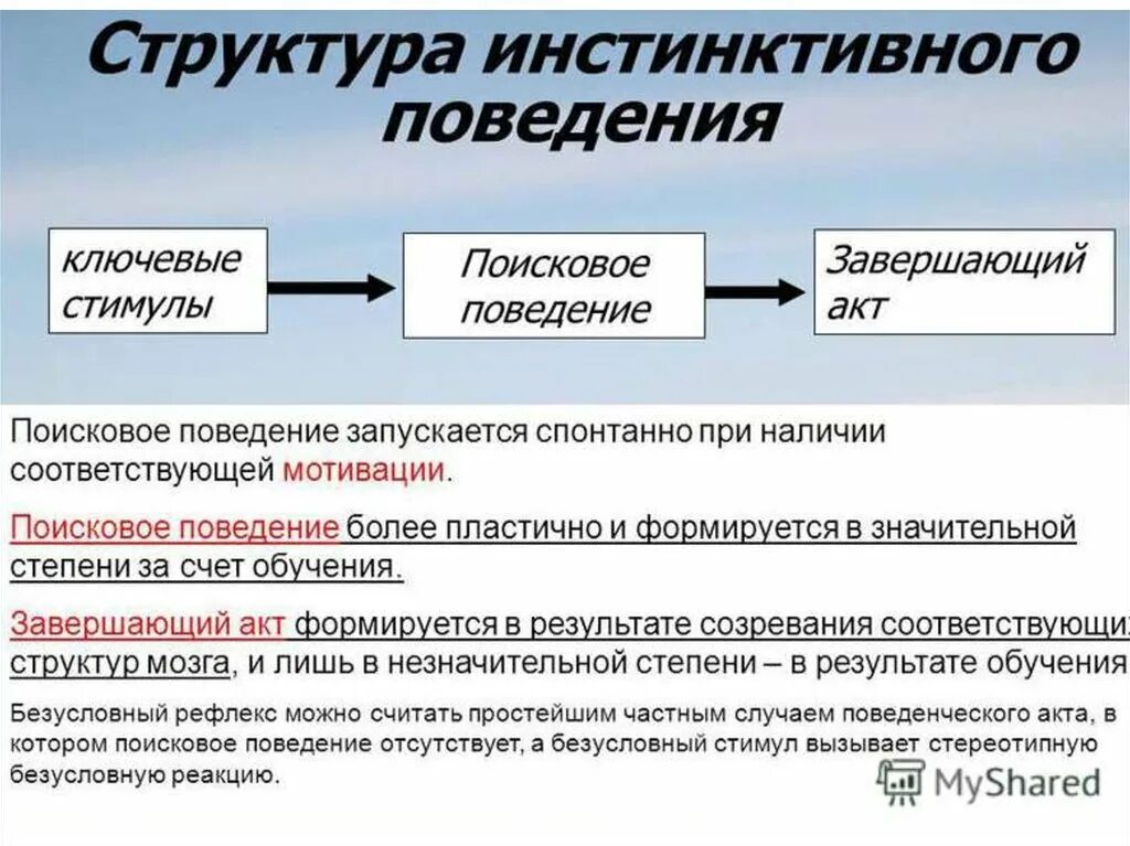 Инстинктивный характер. Структура инстинктивного поведения. Структура инстинктивного поведения животных. Инстинктивные формы поведения. Структура инстинктивного поведенческого акта.