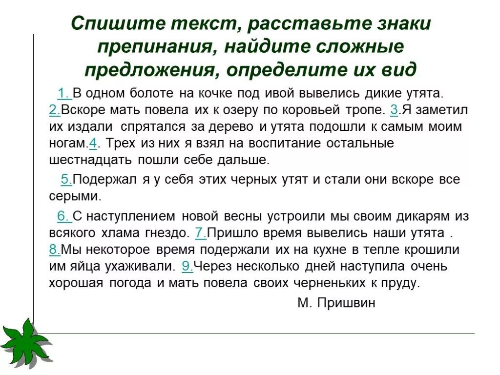 В одном болоте на кочке под ивой вывелись Дикие. Пришвин в одном болоте на кочке под ивой. Синтаксический разбор в одном болоте на кочке под ивой. В одном болоте на кочке под ивой вывелись Дикие кряковые утята. Текст из 8 сложных предложений