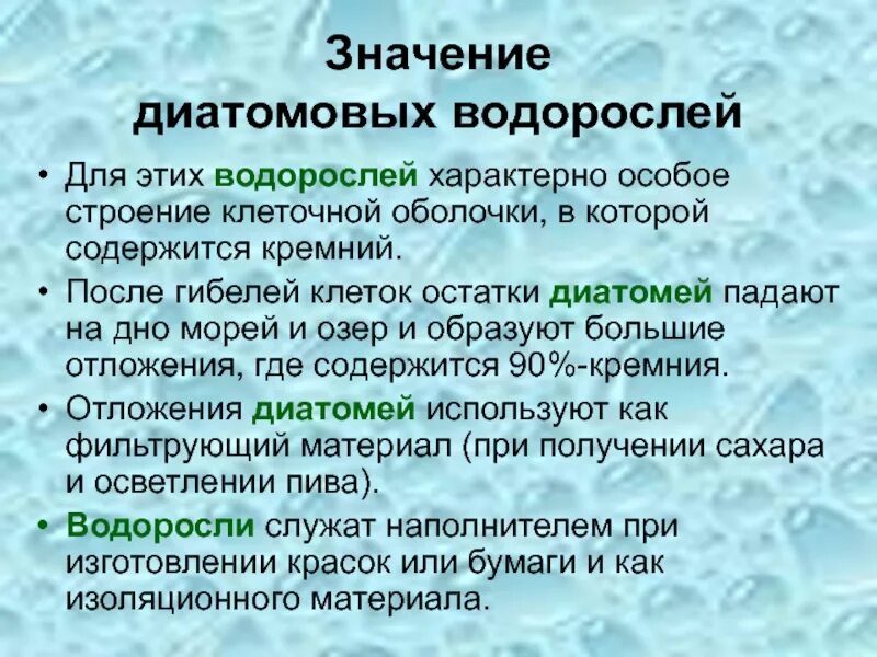 В клетках водорослей содержится. Тип таллома диатомовых водорослей. Диатомовые водоросли значение. Диатомовые водоросли таблица. Роль диатомовых водорослей.