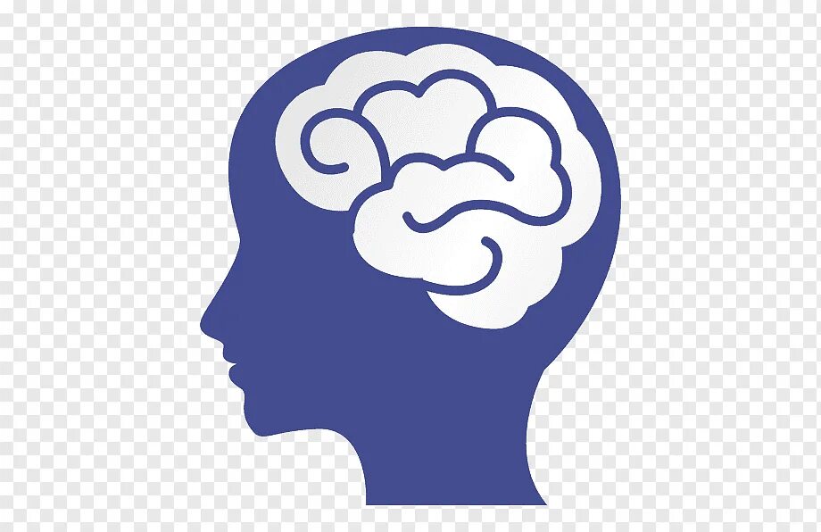 Когнитивность значок. Когнитивный логотип. Когнитивные способности мозга. Познавательные способности иконка. Голова другим словом