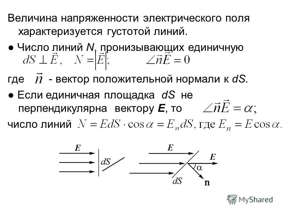 Силовые линии положительного и отрицательного заряда. Густота силовых линий электростатического поля зависит от. Густота силовых линий. Линии напряженности электростатического поля направлены. Густота силовых линий.