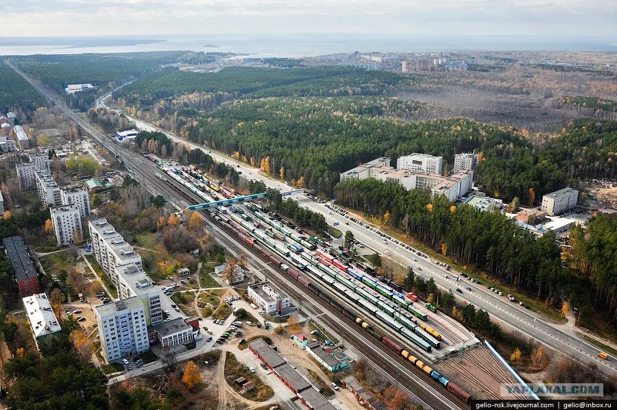 Сколько институтов в новосибирске на проспекте лаврентьева. Академгородок Новосибирская область. Академический городок Новосибирск. Проспект Лаврентьева Академгородок. Новосибирский Академгородок улицы Новосибирского Академгородка.