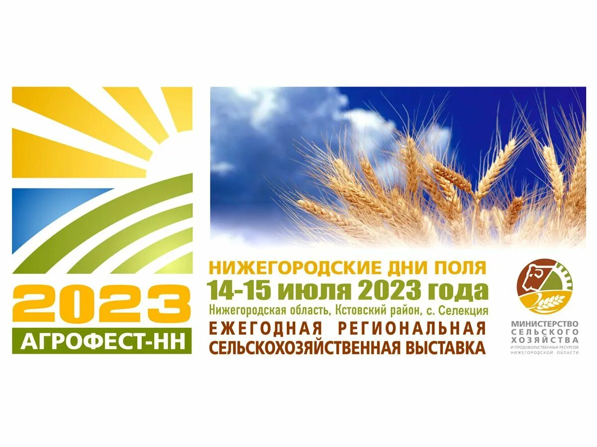 Физкультурно-оздоровительный комплекс мещерский, нижний новгород. Поли нн. Фк нижний новгород эмблема. Нижний новгород (футбольный клуб, 2007). Поли нн.