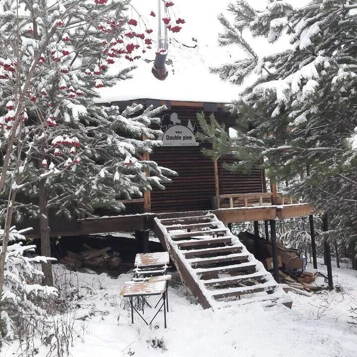 харенки россель дача. сосны на крутом берегу. две сосны чусовой. река лес родина урал. эко дома пермь.