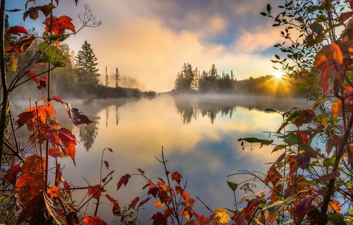 Открытка доброе утро лес. Осеннее озеро. Осенний пейзаж. Природа осень. Красивая осень.