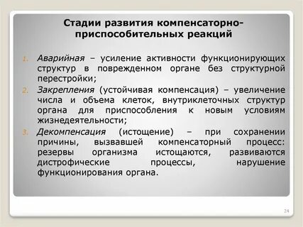 Компенсирующий рост