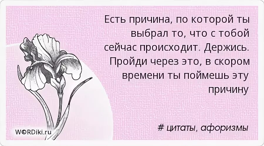 Есть причина по которой ты выбрал то что сейчас с тобой происходит. Всему есть причина. Открытка что происходит с тобой?. Есть причина. Почему автор выбрал именно счастливый день