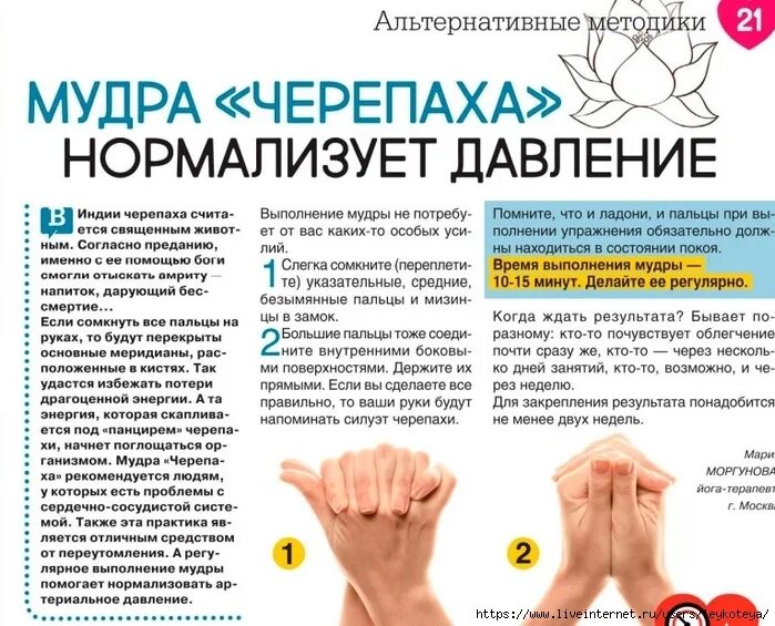 Упражнения чтобы снизить давление