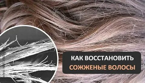 Как восстановить волосы сожженные окрашиванием