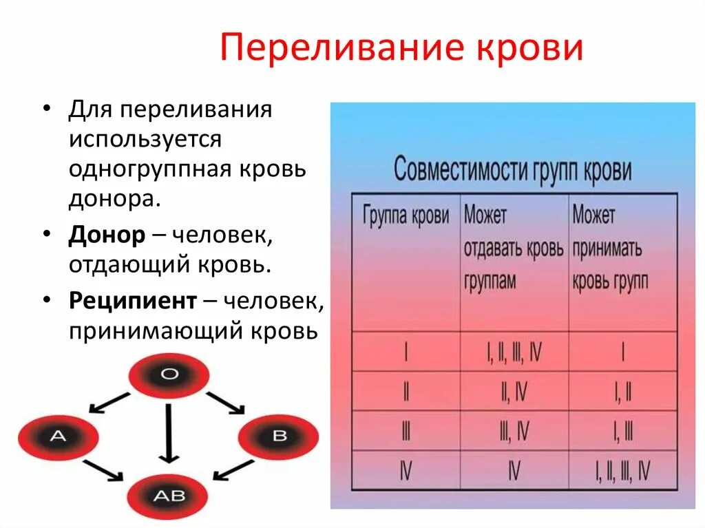 Группа крови это