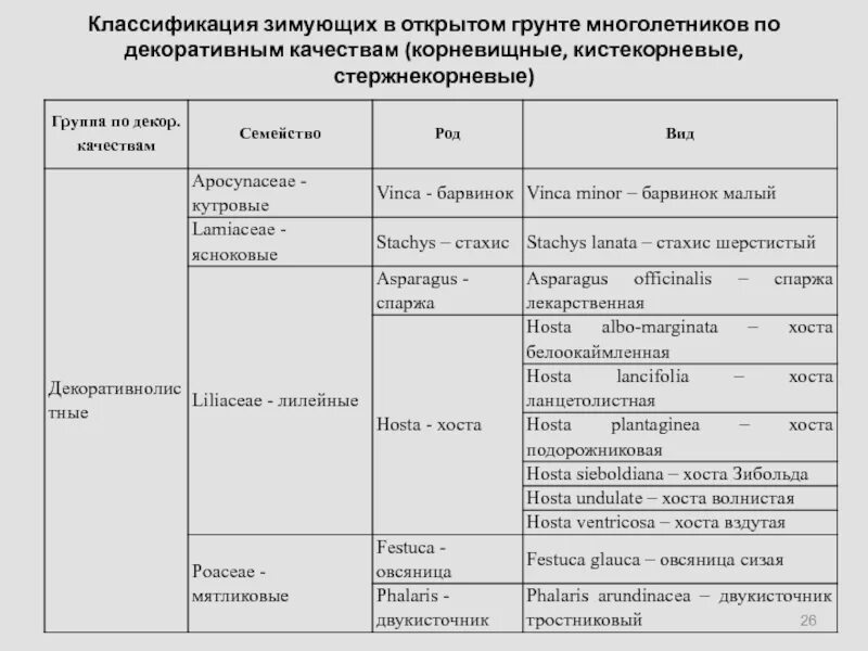 Зимующие в открытом грунте. Многолетники зимующие в открытом грунте. многолетники зимующие в открытом грунте каталог. многолетники не зимующие в открытом грунте. многолетники зимующие в открытом грунте каталог вечнозеленые.