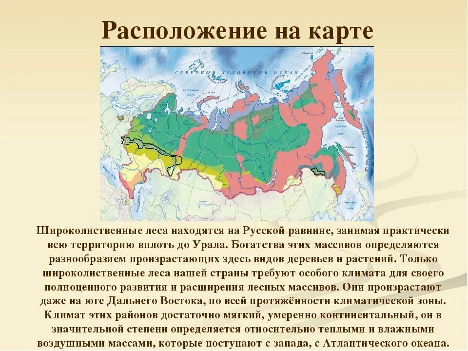 Природная зона московской области 4 класс. Территория тайги на карте России. Природные зоны России Тайга. Тайга на карте России природных зон. Расположение природных зон.