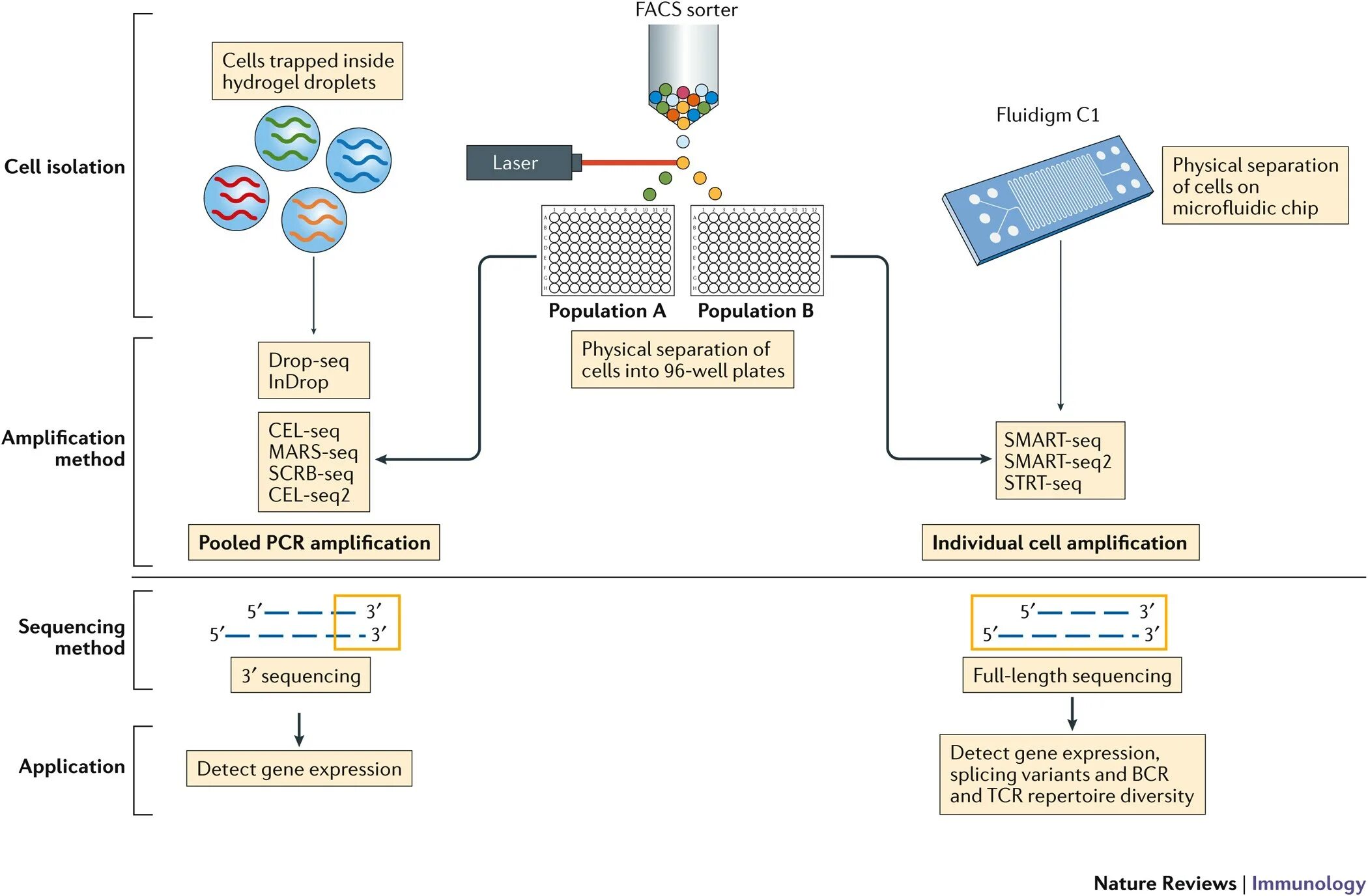 Single cell sequencing. Single-cell rna sequencing. cell diversity. smart sequencing. to detect the gene doping.