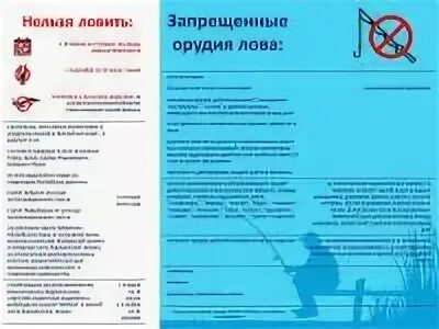 Англии запретили ловить рыбу