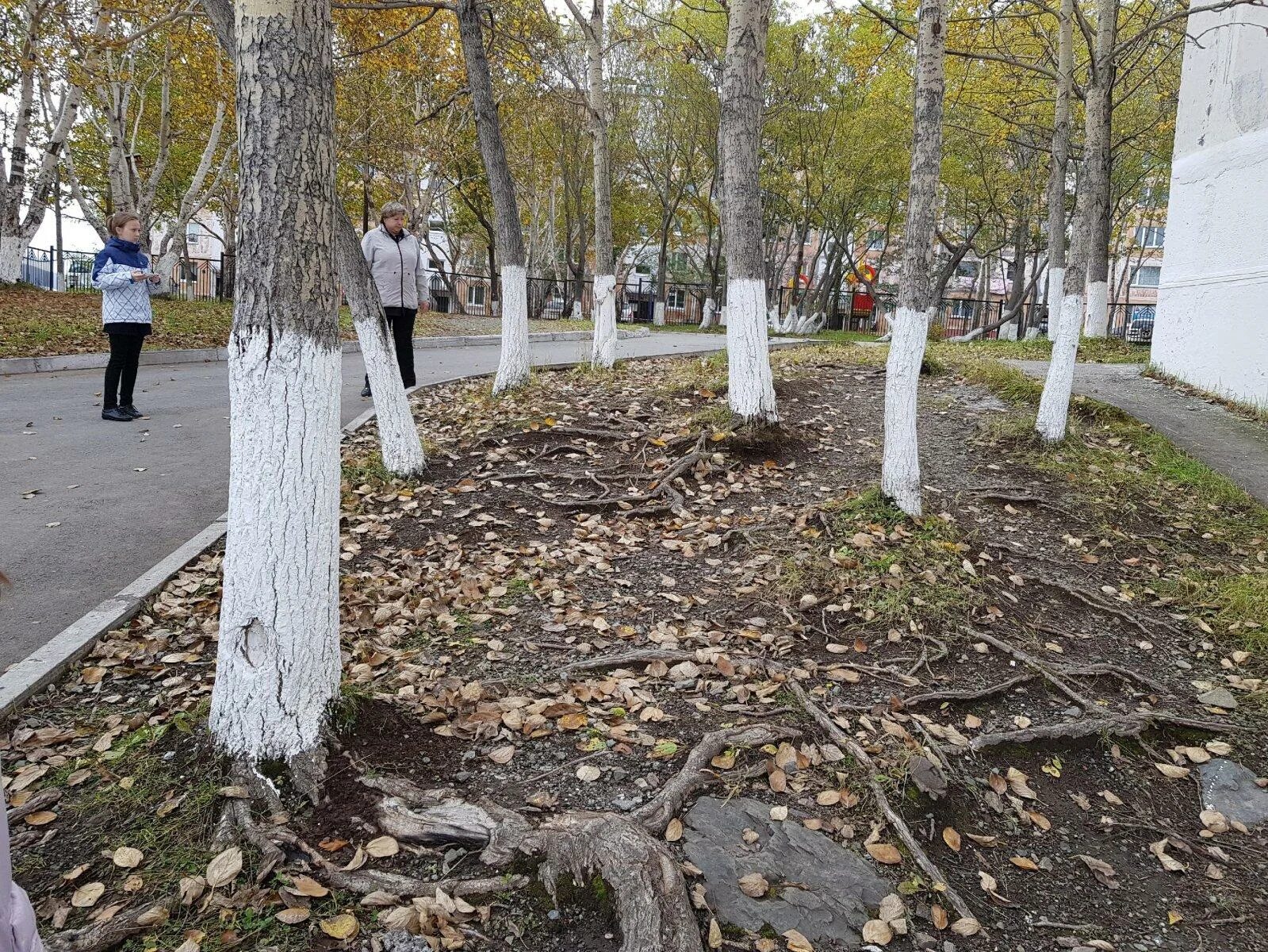 Гимназия 39 петропавловск камчатский. 39 Школа Петропавловск-Камчатский. Гимназия 39 Петропавловск-Камчатский учителя. Гимназия 39 Петропавловск-Камчатский 2012.