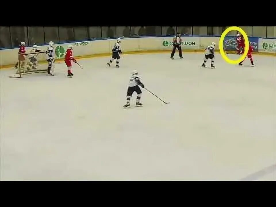 Белые медведи хоккей 2008. Метеор сигнал 2007. Белые медведи 2008. Ска юность 2008. Белые медведи 2008.