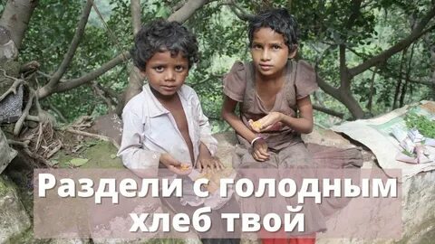 Твой хлеб