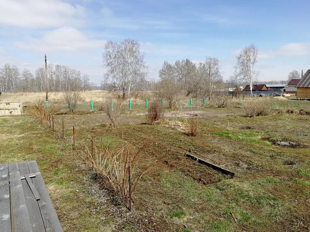 Береговое новосибирская область. Береговое Новосибирский район. Село Береговое Новосибирская обл. Село Береговое Новосибирск население. Новосибирская область, р-н Новосибирский, с. Береговое, ул. Степная.