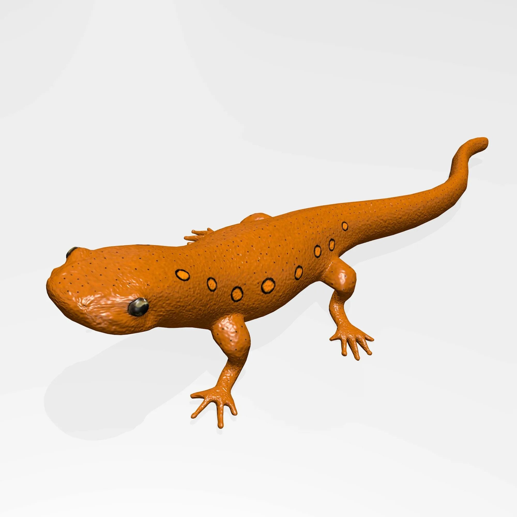 Ящерица 3 д. Salamander 3d model. Ящерица 3д модель. Саламандра 3d модель. Тритон 3д модель.