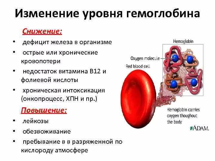 Изменение уровня гемоглобина. Причины изменения гемоглобина в крови. Гемоглобин снижен причины. Снижение уровня гемоглобина в крови. Изменение железа в крови