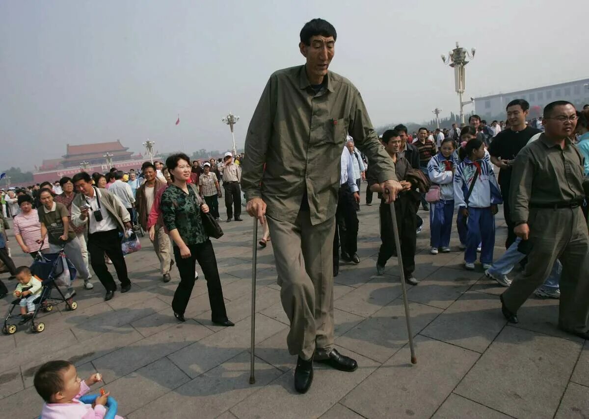 Высокий сан. Бао Сишунь рост. Самый высокий человек в мире китаец. Высокий человек в Китае. Бао Сишунь фото.