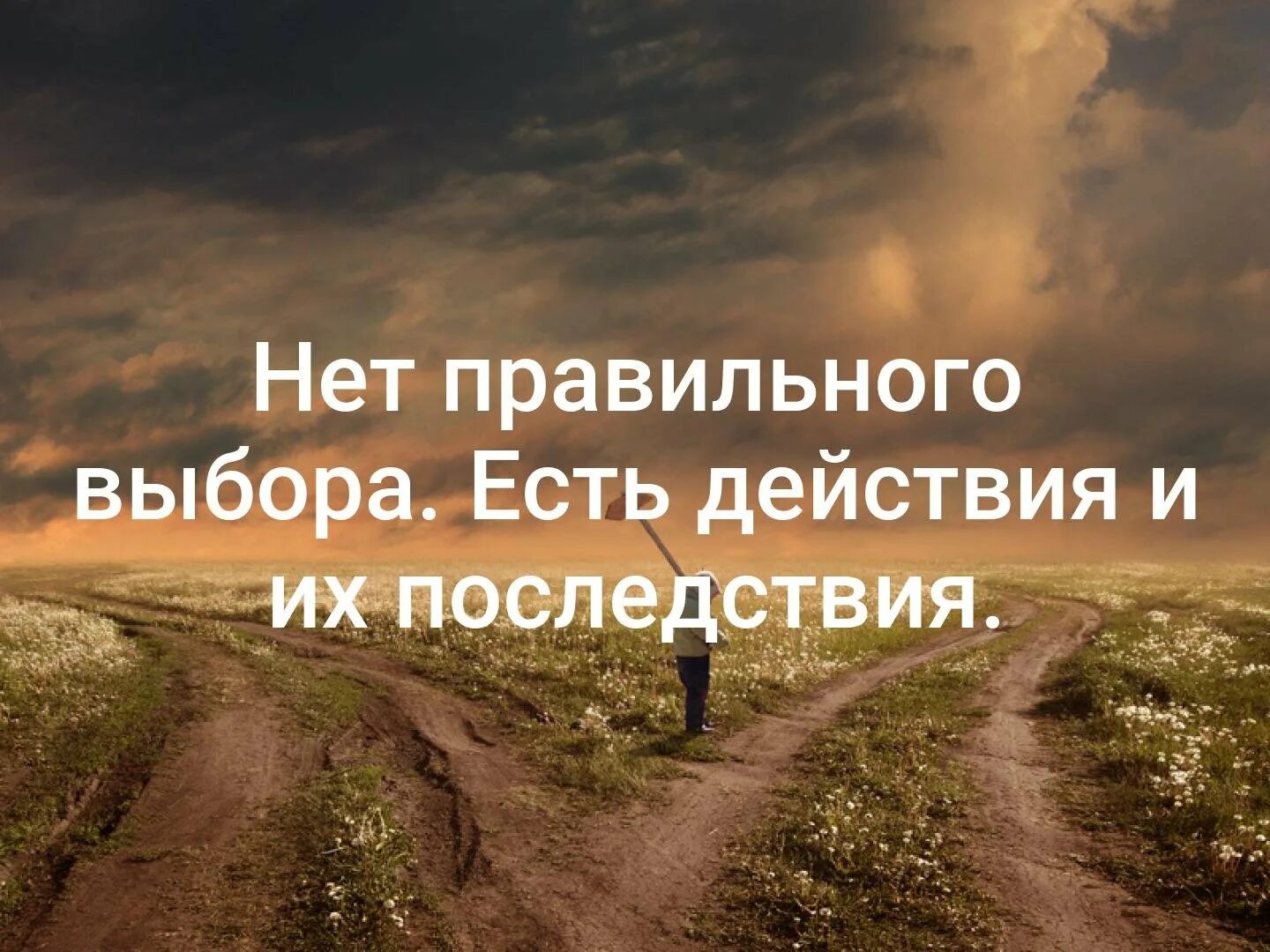 Выбор есть всегда. У человека всегда есть выбор цитаты. У каждого есть выбор цитаты. Правильный выбор цитаты. Всегда правильное решение