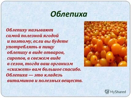 Вред облепихи для организма человека какая