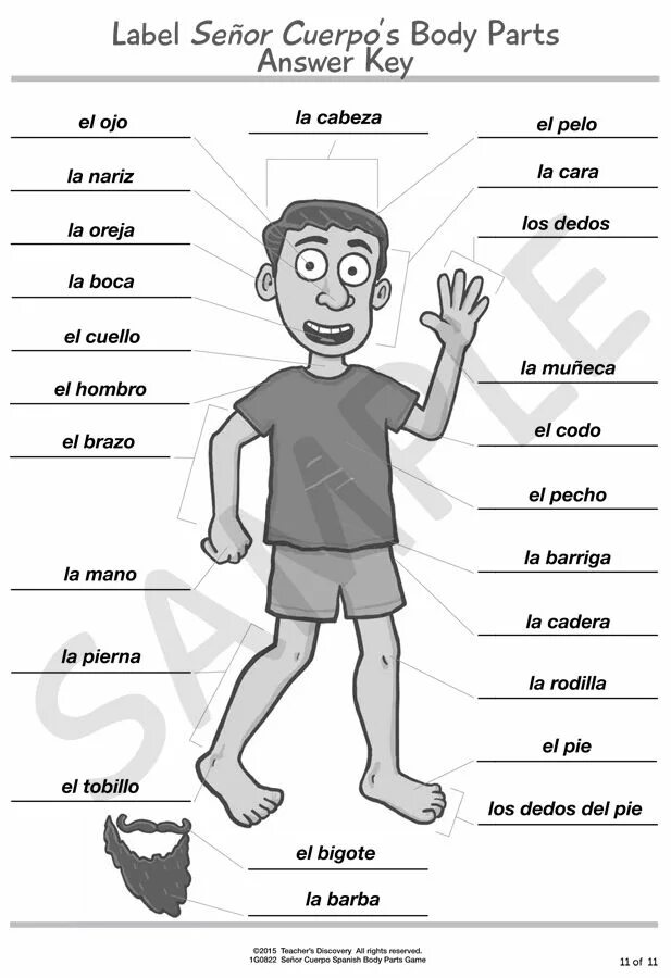 Части тела Worksheets. Body Parts. Body Parts картинка. Label body Parts. Use the words to label the