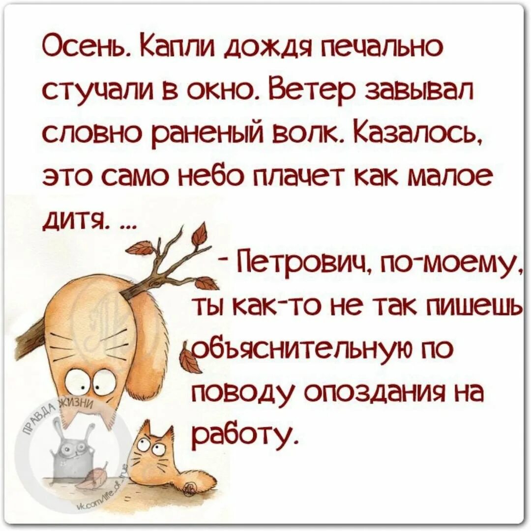 Про смысл жизни с юмором
