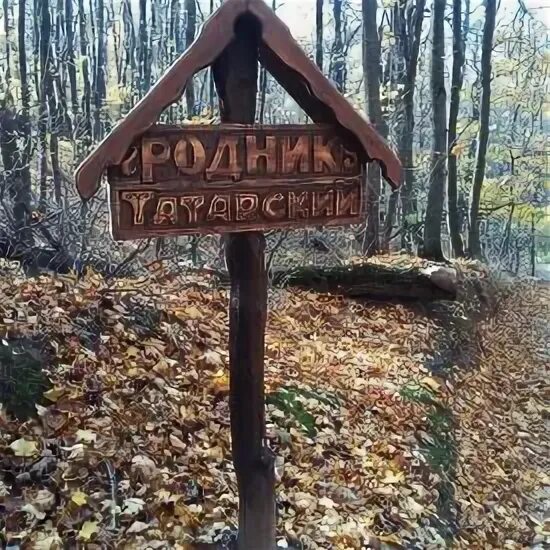 Фадеевский родник. Родник. Ясная в роднике. Ясная в роднике. Родник из земли.