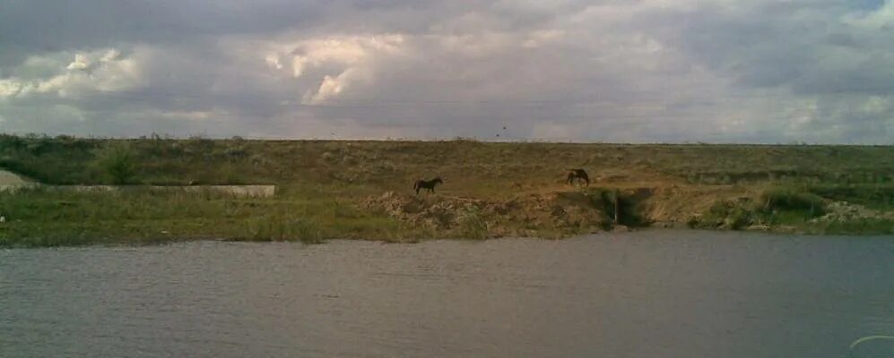 Марксовский район Саратовская область Новосельское. Село Новосельское в Саратовской области. Саратовская область Марксовский район Волга. Село Бородаевка Саратовской области. Погода долиновка ставропольский край