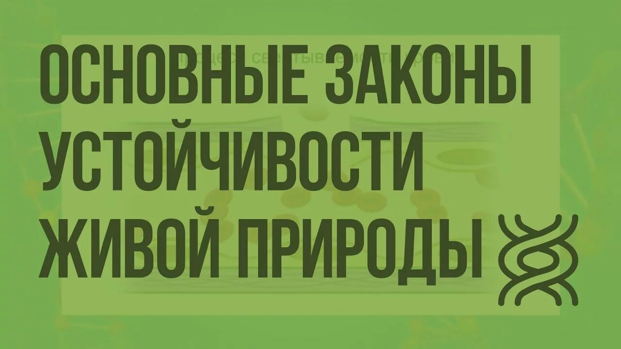 Основные законы устойчивости. Законы устойчивости живой природы. Основные законы устойчивости природы. Закономерности устойчивости живой природы. 9 Класс биология «основные законы устойчивости живой природы».