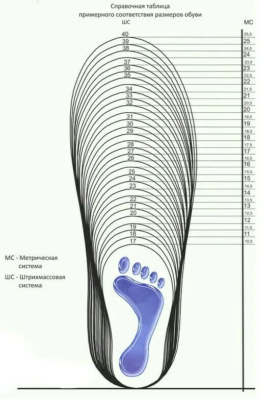 Длина стелек детского размера. 30 Размер стелька. Детская Размерность обуви стелька 16 см. Размер стельки детская обувь. Ширина детской стельки.