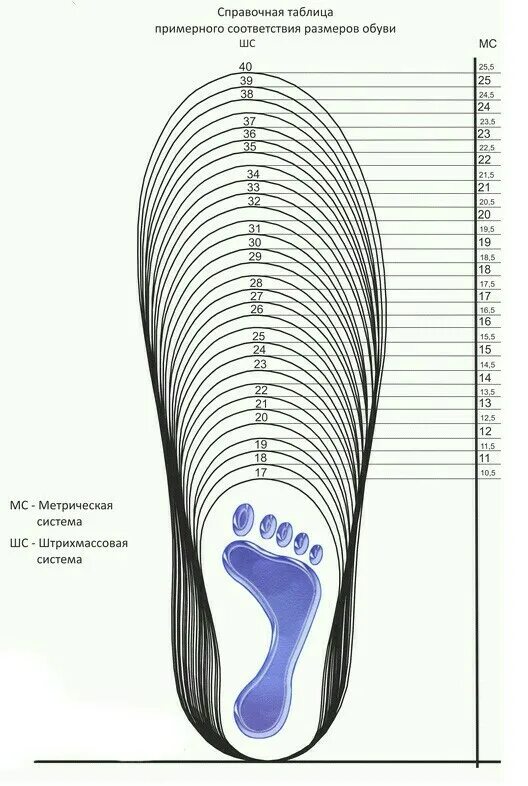 Стопа 16 см. 30 Размер стелька. Детская Размерность обуви стелька 16 см. Размер стельки детская обувь. Ширина детской стельки.