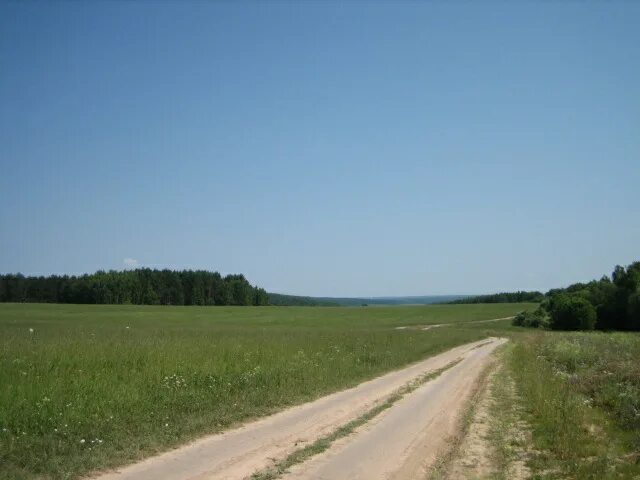 Шарапово нижегородской. Коломнино Тарусский район. Тарусский район Елизаветино. Деревня Гурьево Калужская область Тарусский район. Шарапово Тарусский район.